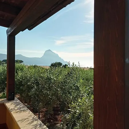Mediterraneo Holiday home Castelluzzo