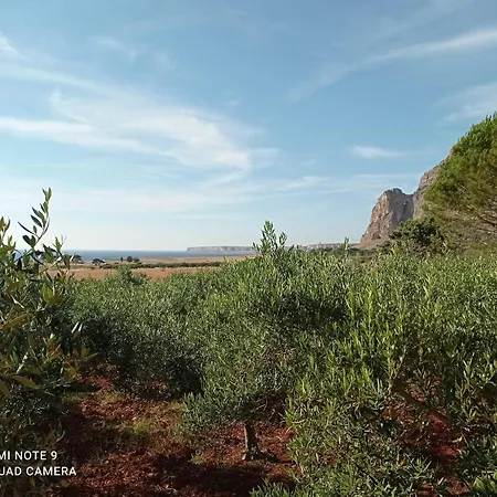 Mediterraneo Holiday home Castelluzzo